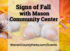 yellow and orange fall leaves and acorns